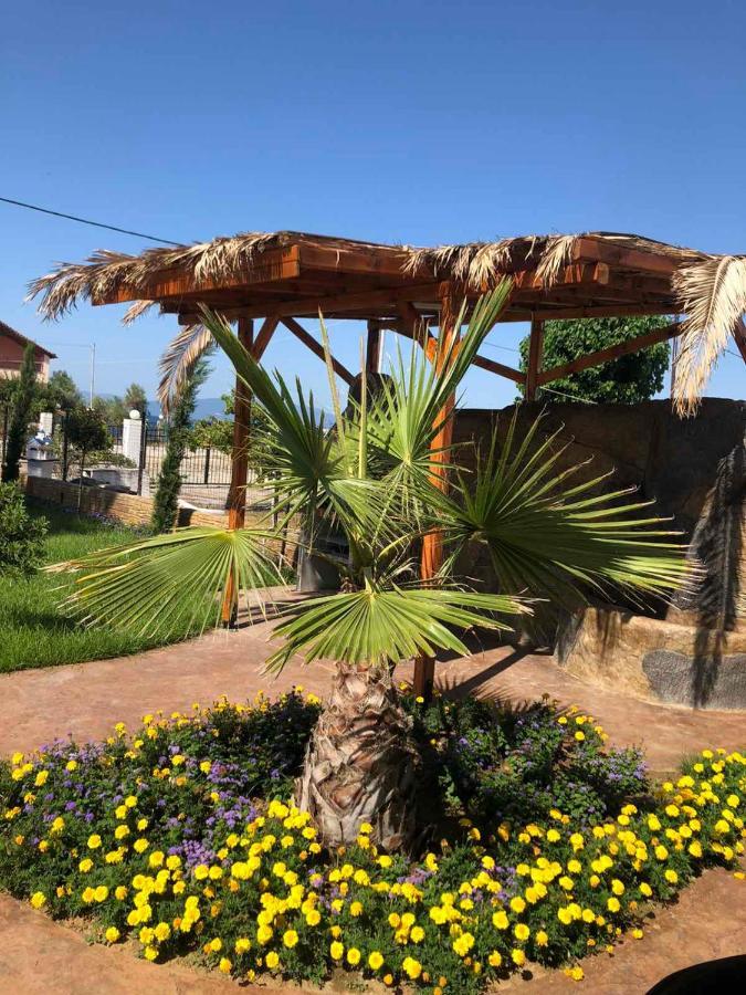 Guest House Costa 2 Karianí المظهر الخارجي الصورة
